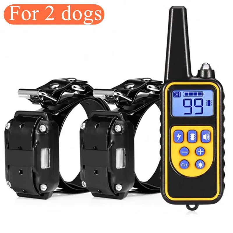 Collier de Dressage Rechargeable et Étanche pour Chiens
