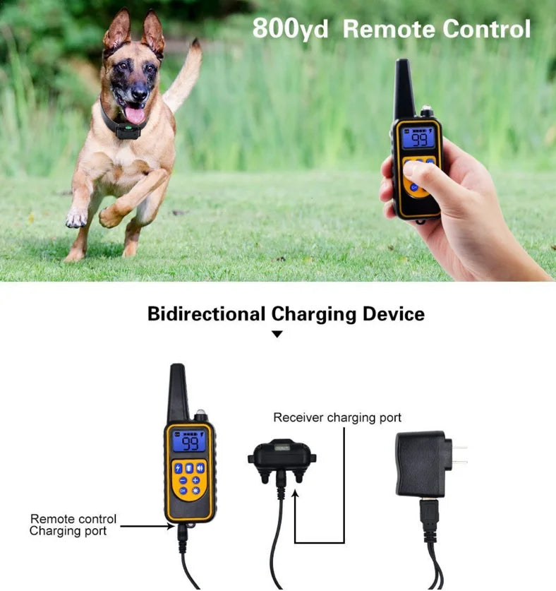 Collier de Dressage Rechargeable et Étanche pour Chiens