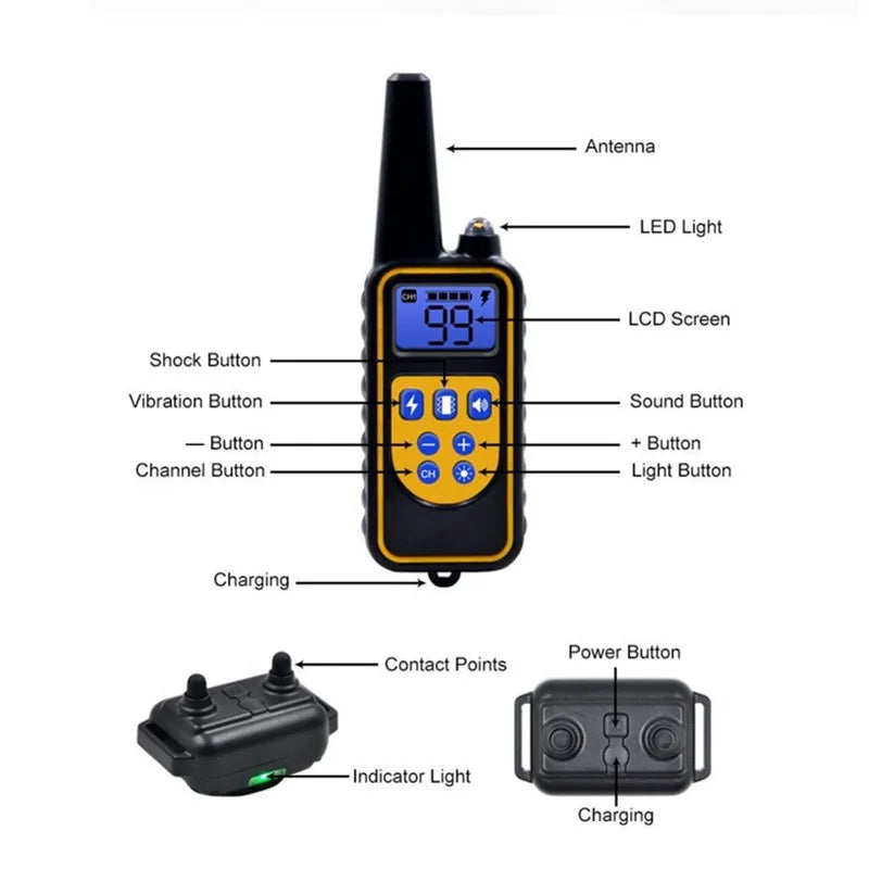 Collier de Dressage Rechargeable et Étanche pour Chiens