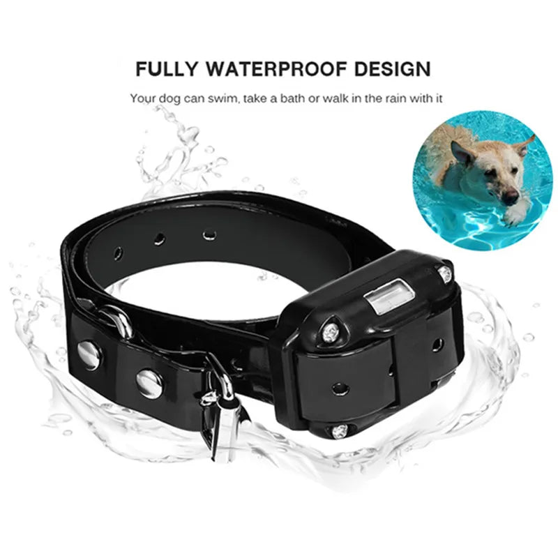 Collier de Dressage Rechargeable et Étanche pour Chiens