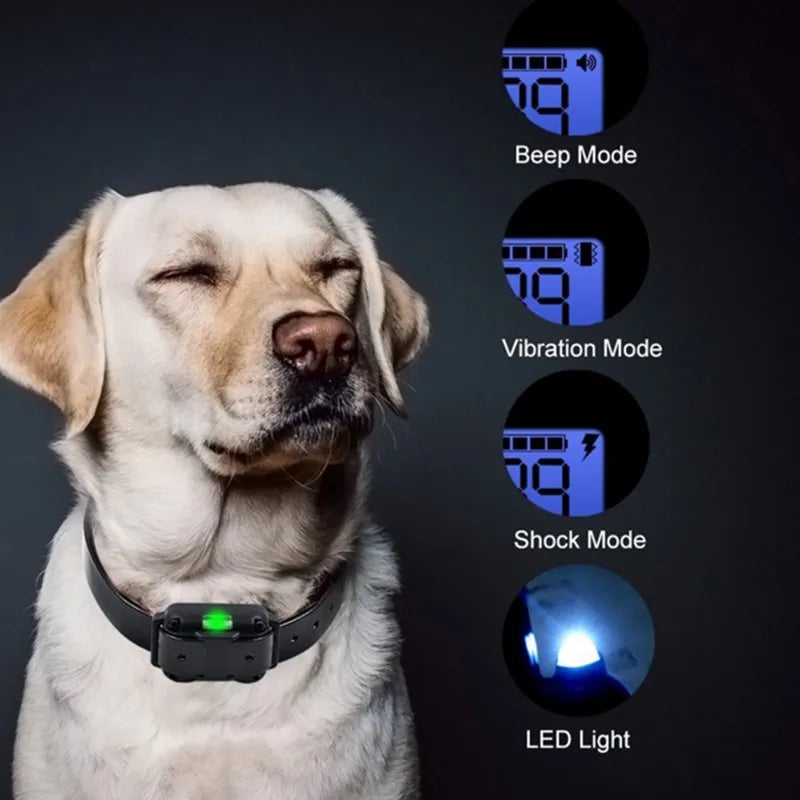 Collier de Dressage Rechargeable et Étanche pour Chiens