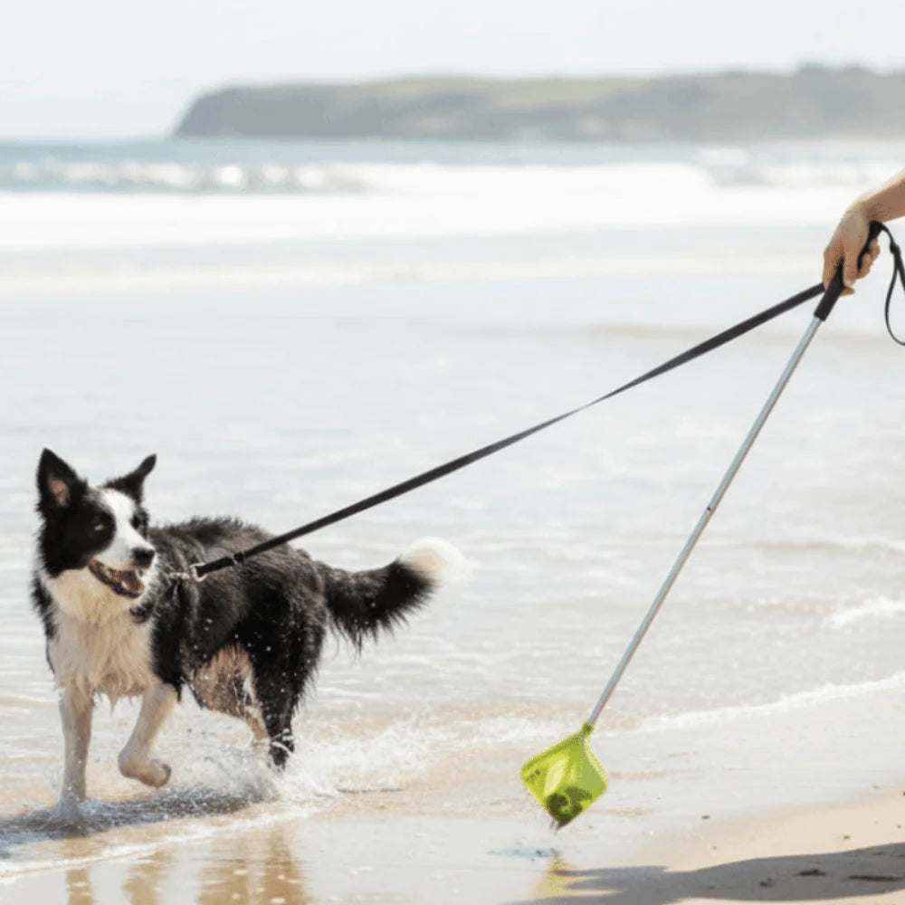 Ramasse-Crottes Pliable pour Chien