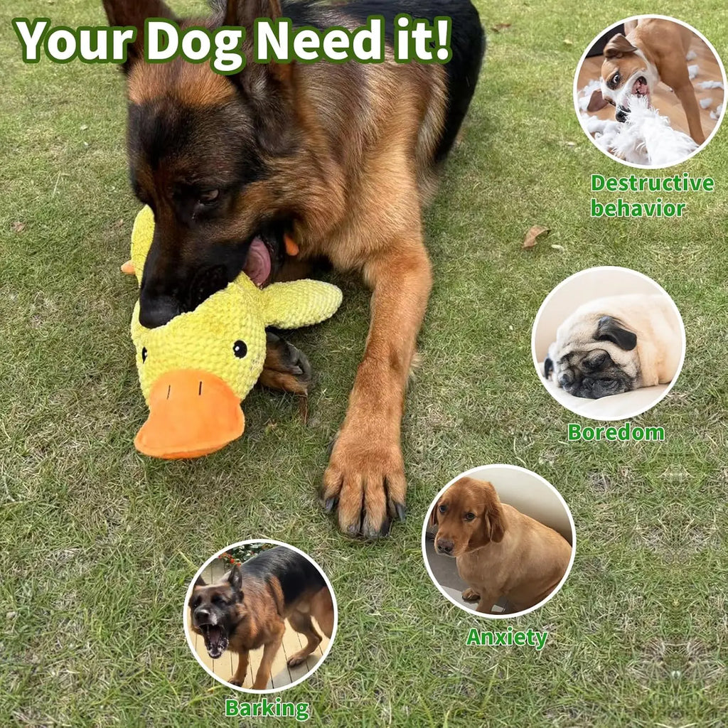 Jouet Canard pour Chien – Résistant avec Son