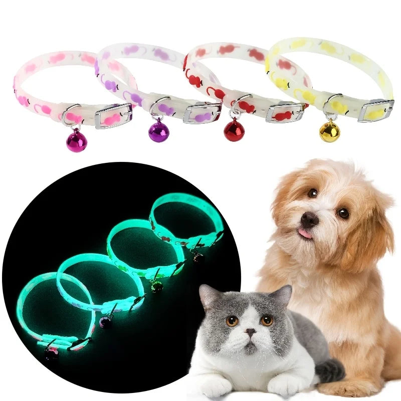 Collier Lumineux pour Chats et Petits Chiens – Lot de 3