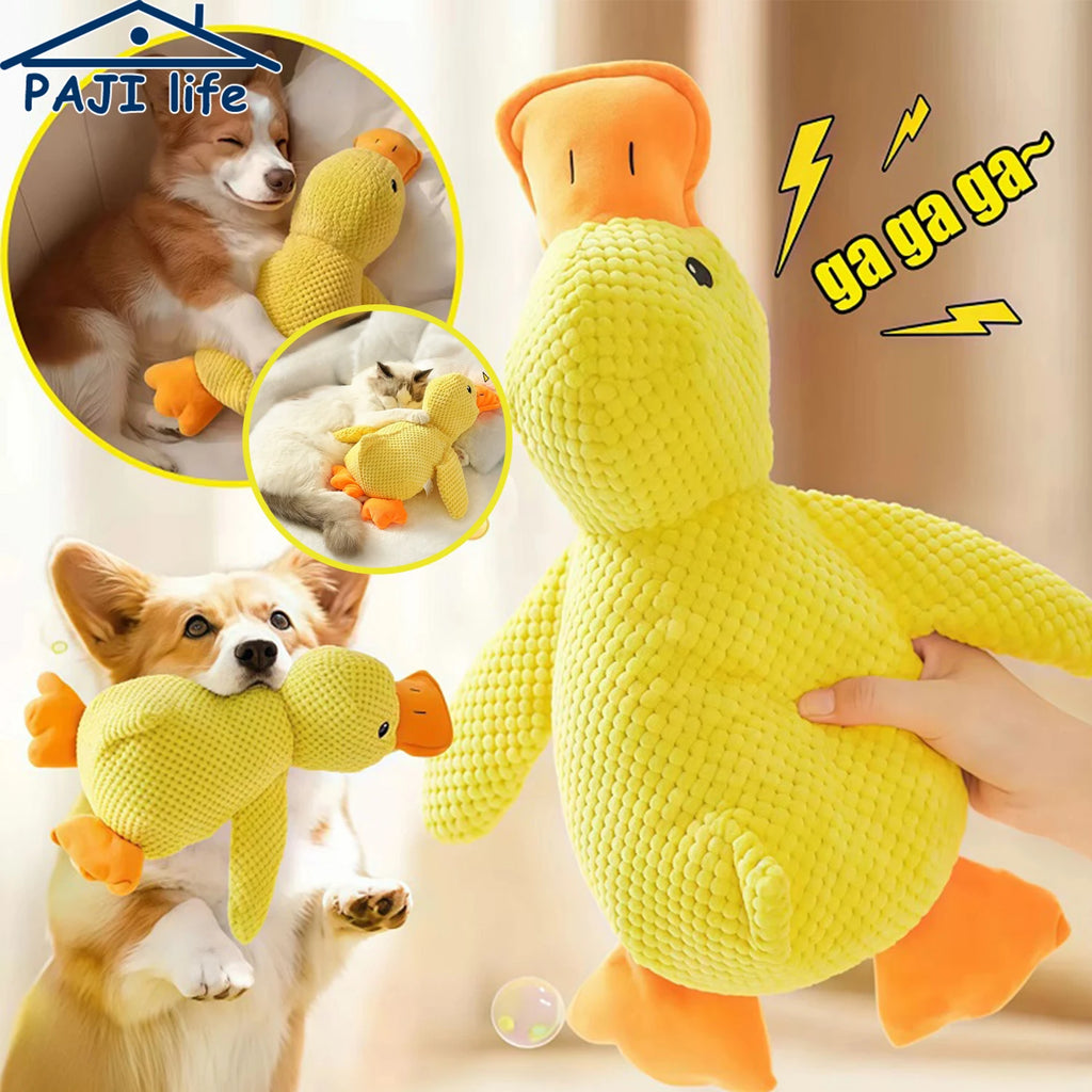 Jouet Canard pour Chien – Résistant avec Son