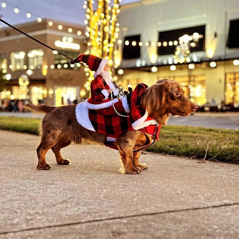 Costume Père Noël à cheval pour chien