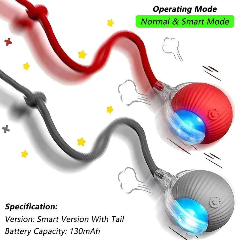 profissional e todo em frances. Balle Interactive Rechargeable pour Chat