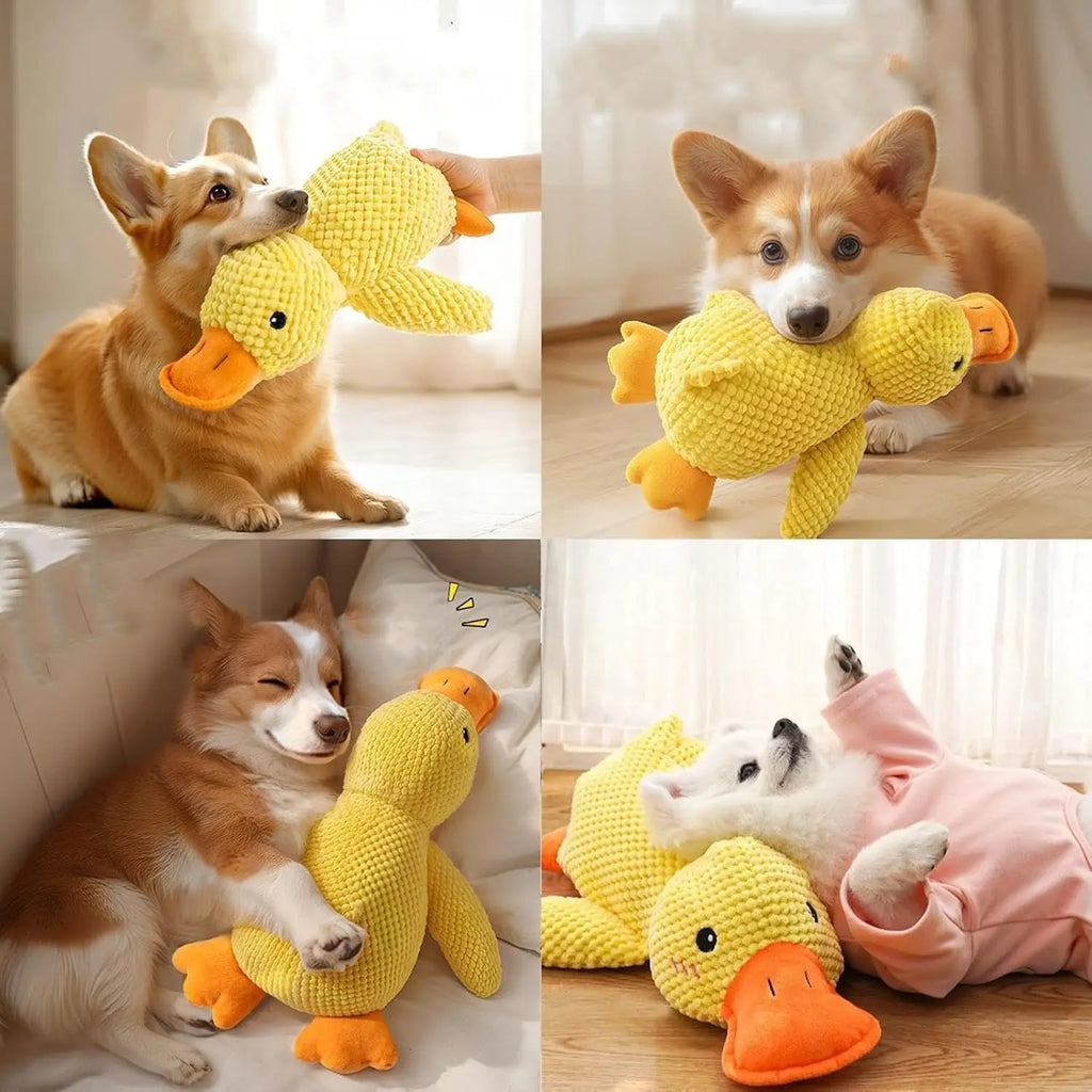 Jouet Canard pour Chien – Résistant avec Son
