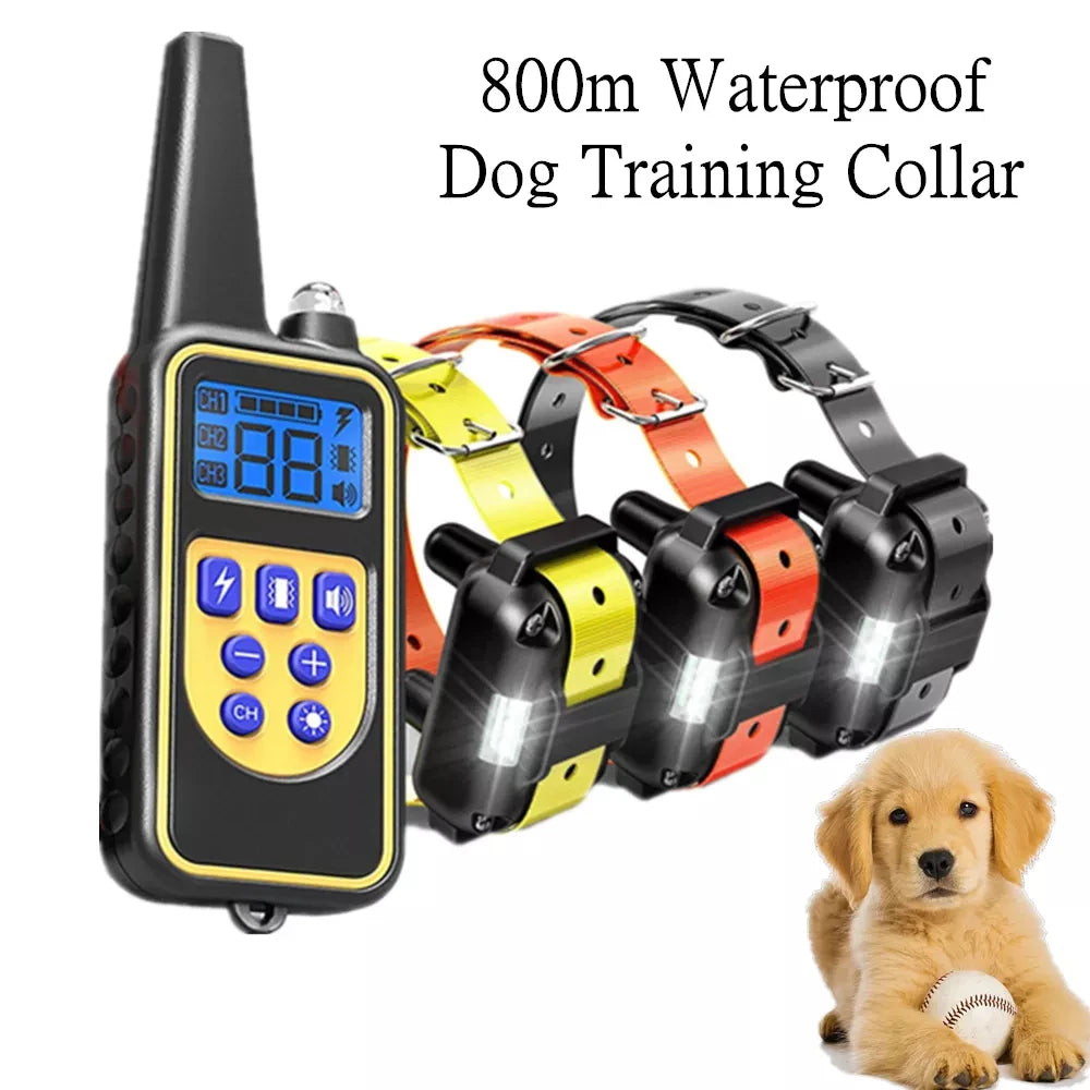 Collier de Dressage Rechargeable et Étanche pour Chiens