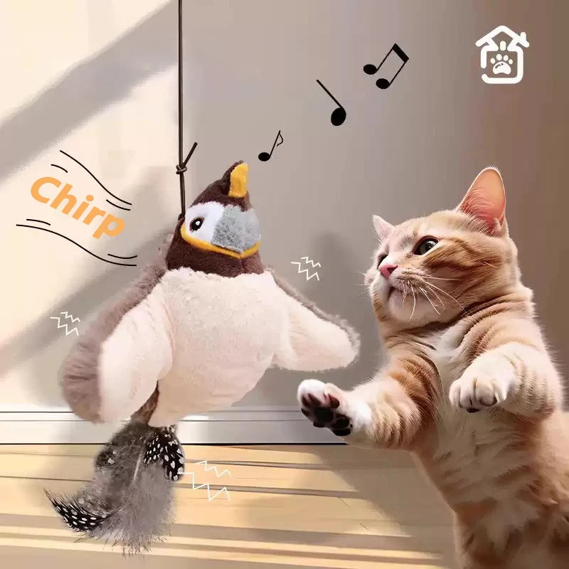 profissional e todo em frances. Balle Interactive Rechargeable pour Chat
