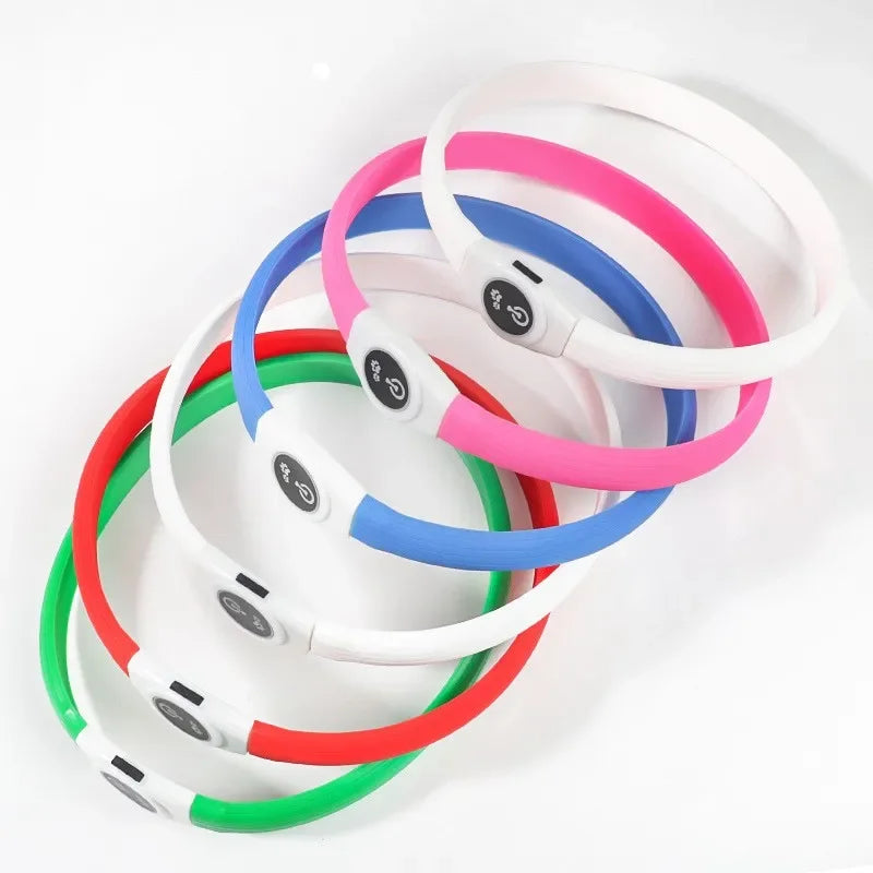 Collier LED rechargeable en PVC pour chien