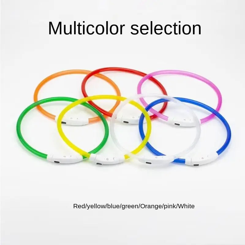 Collier lumineux LED rechargeable pour chien