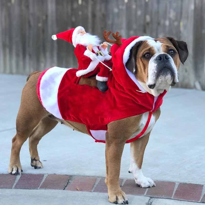 Costume Père Noël à cheval pour chien