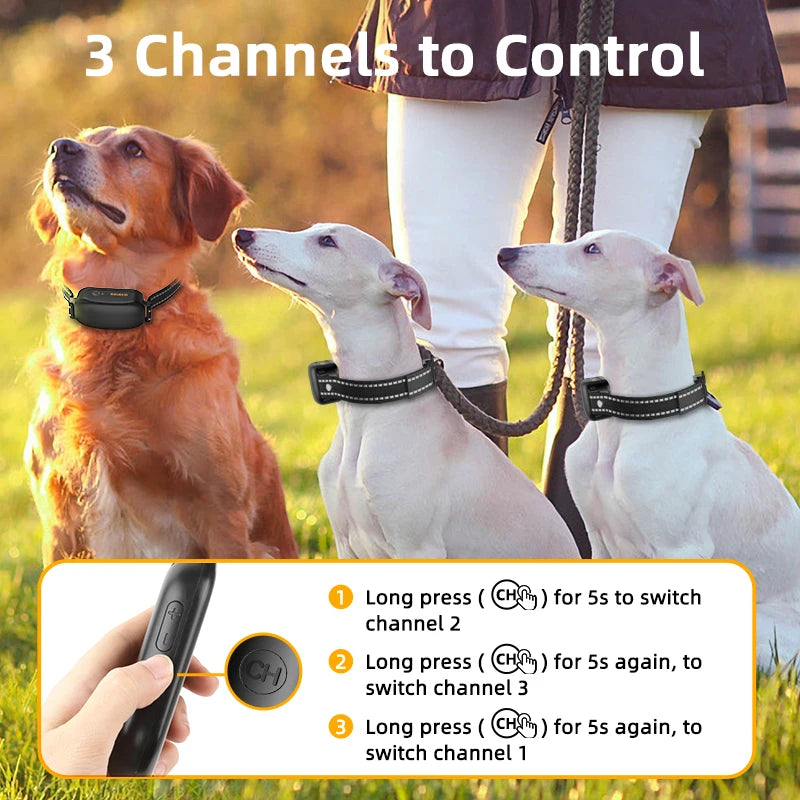 Collier électronique ROJECO PD521 pour chien