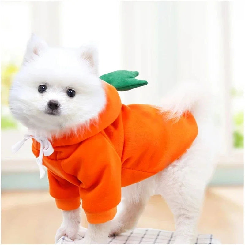 Manteau Polaire pour Chien et Chat – Doux et Chaud