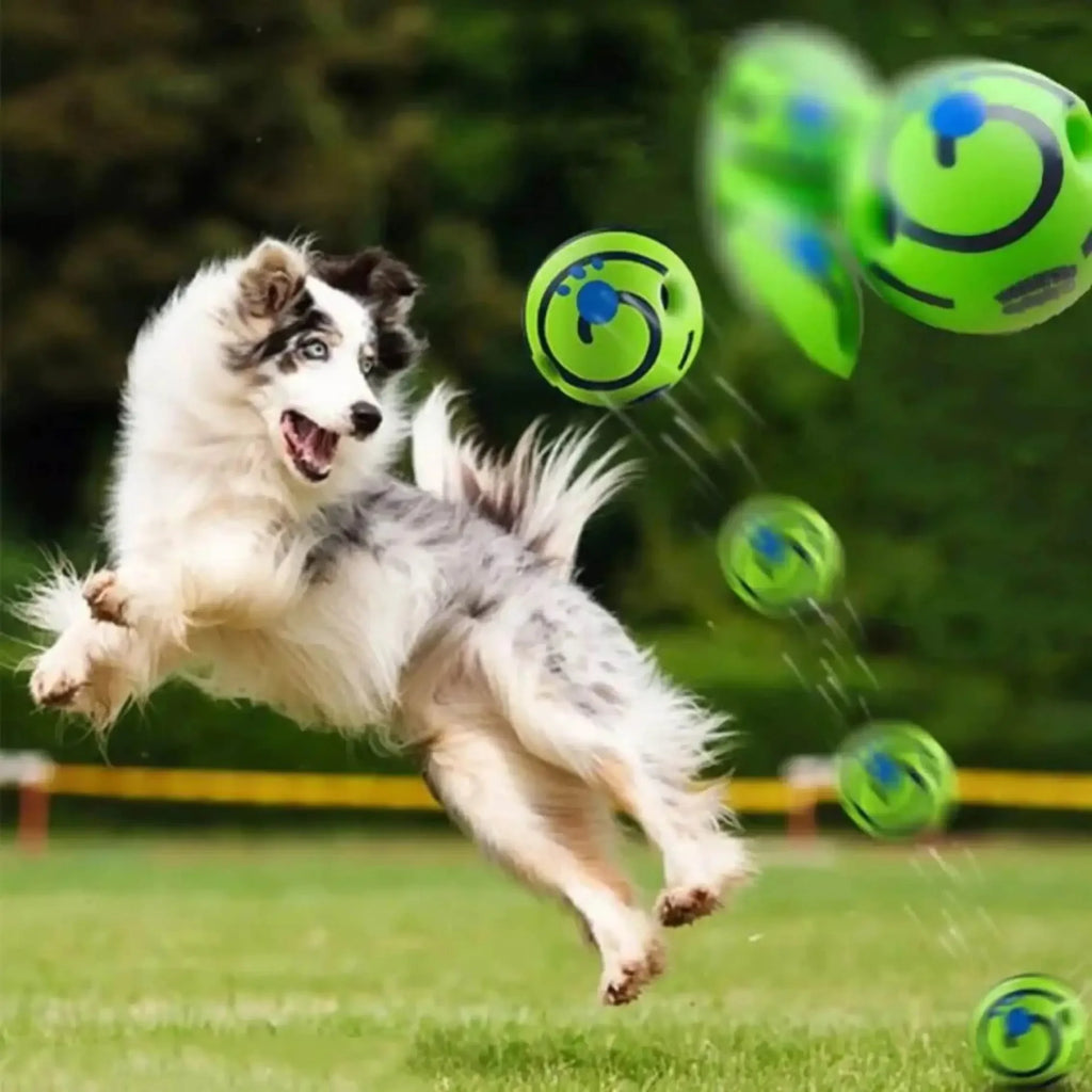 Balle Interactive pour Chien – Jeu & Stimulation Mentale