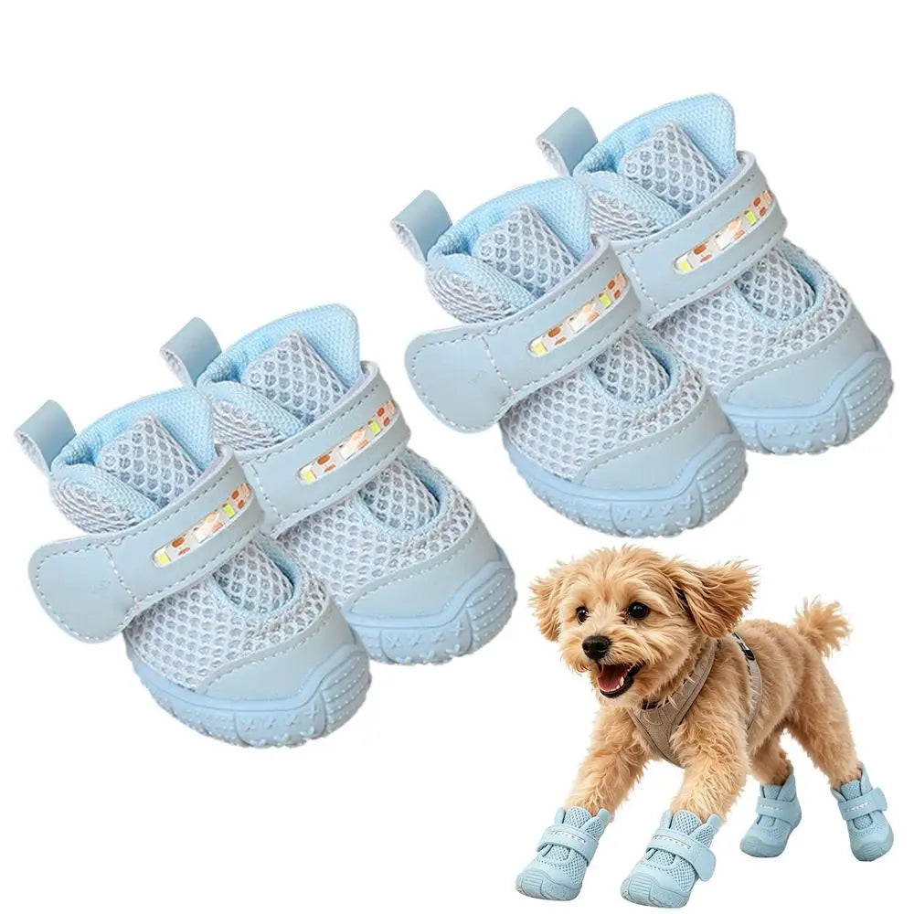 Bottines LED pour Chien