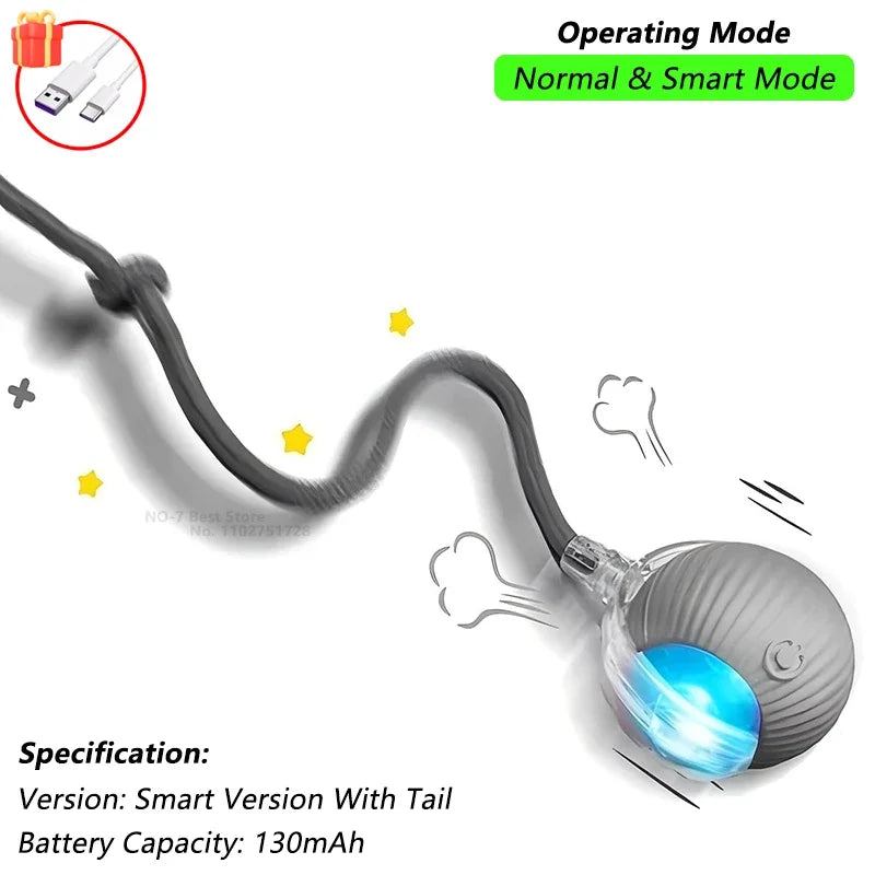profissional e todo em frances. Balle Interactive Rechargeable pour Chat