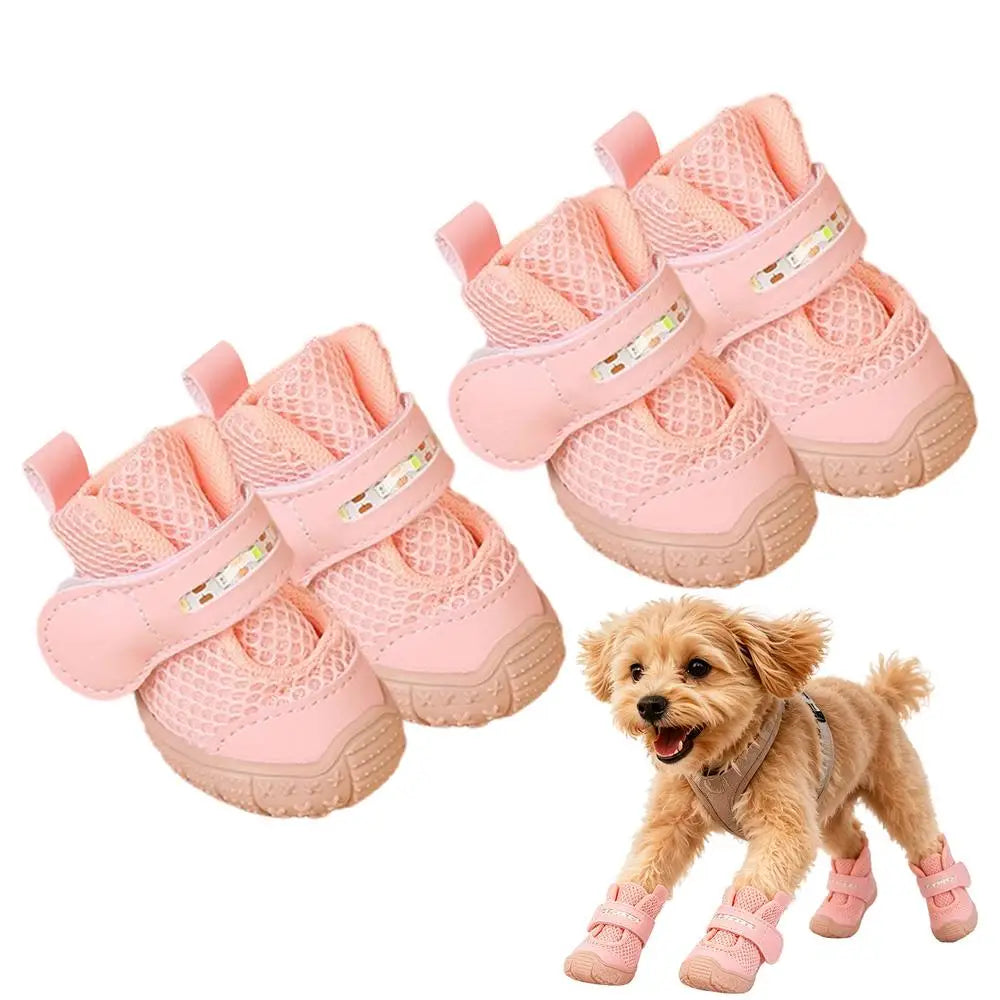 Bottines LED pour Chien
