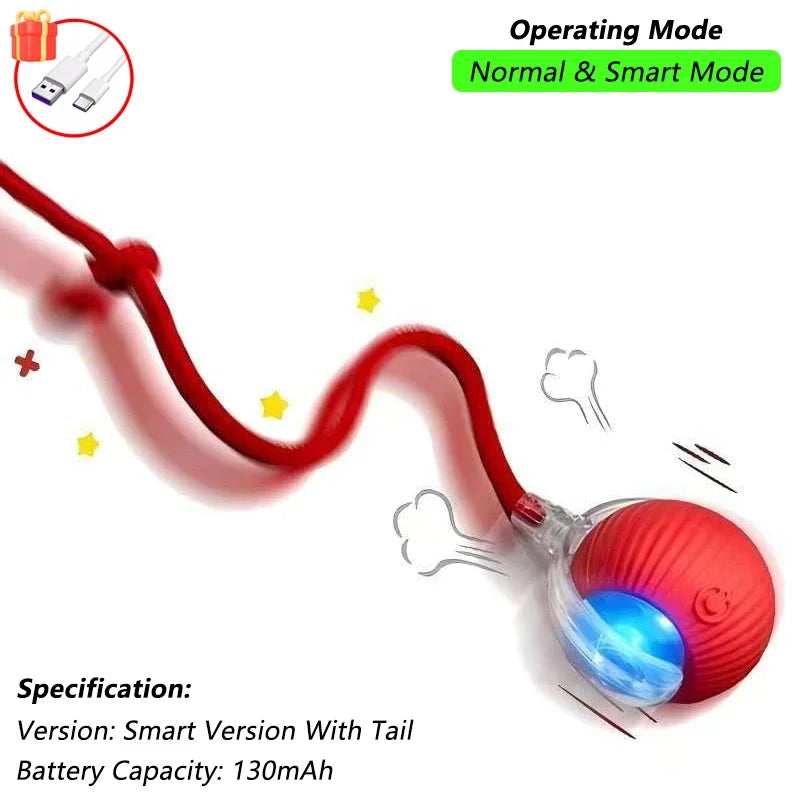 profissional e todo em frances. Balle Interactive Rechargeable pour Chat