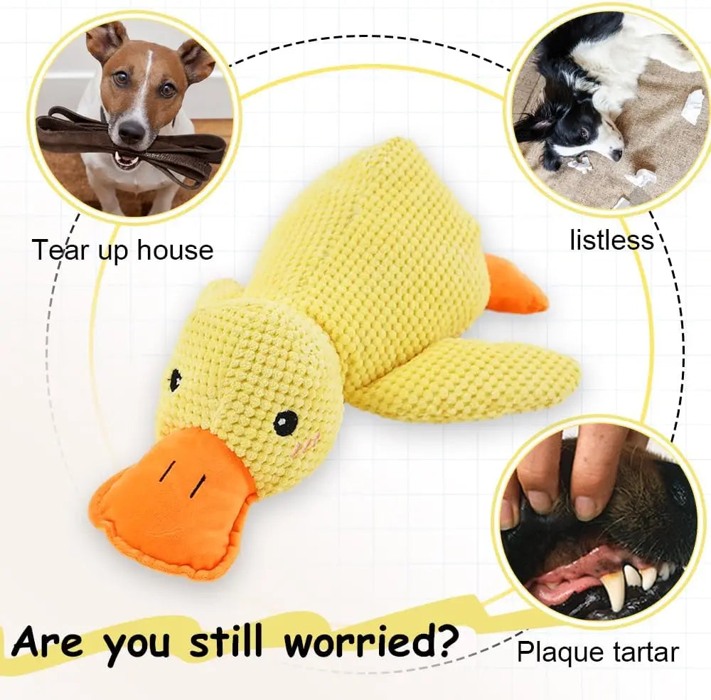 Jouet Canard pour Chien – Résistant avec Son