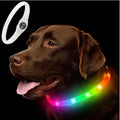Collier LED rechargeable en PVC pour chien