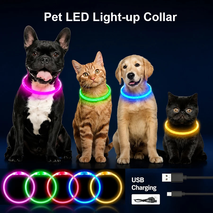Collier lumineux LED rechargeable pour chien