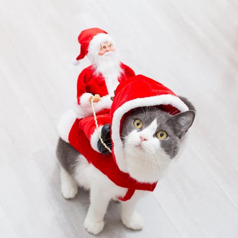 Costume Père Noël à cheval pour chien