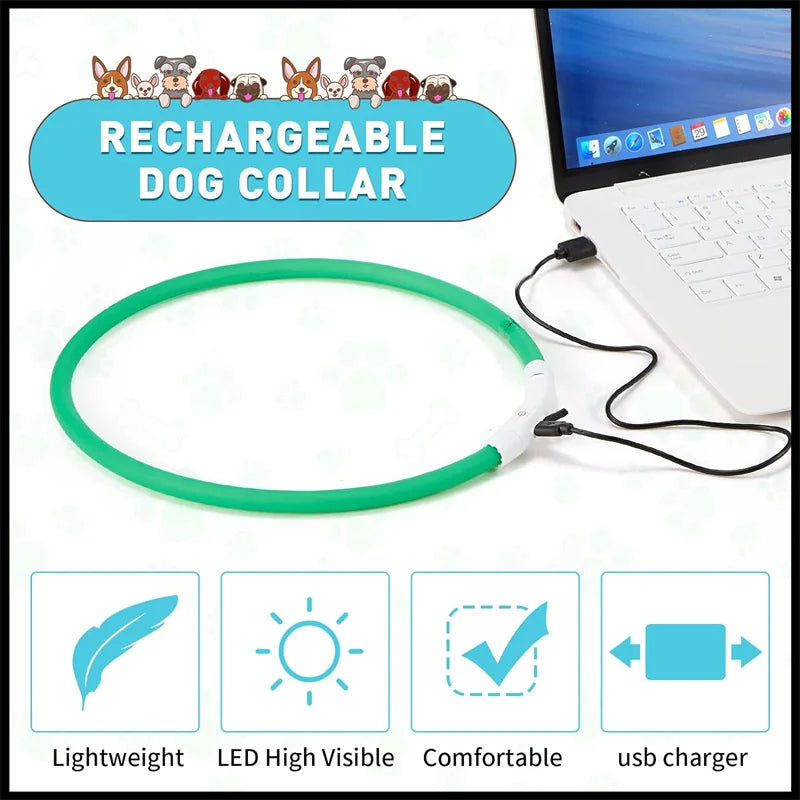 Collier lumineux LED rechargeable pour chien
