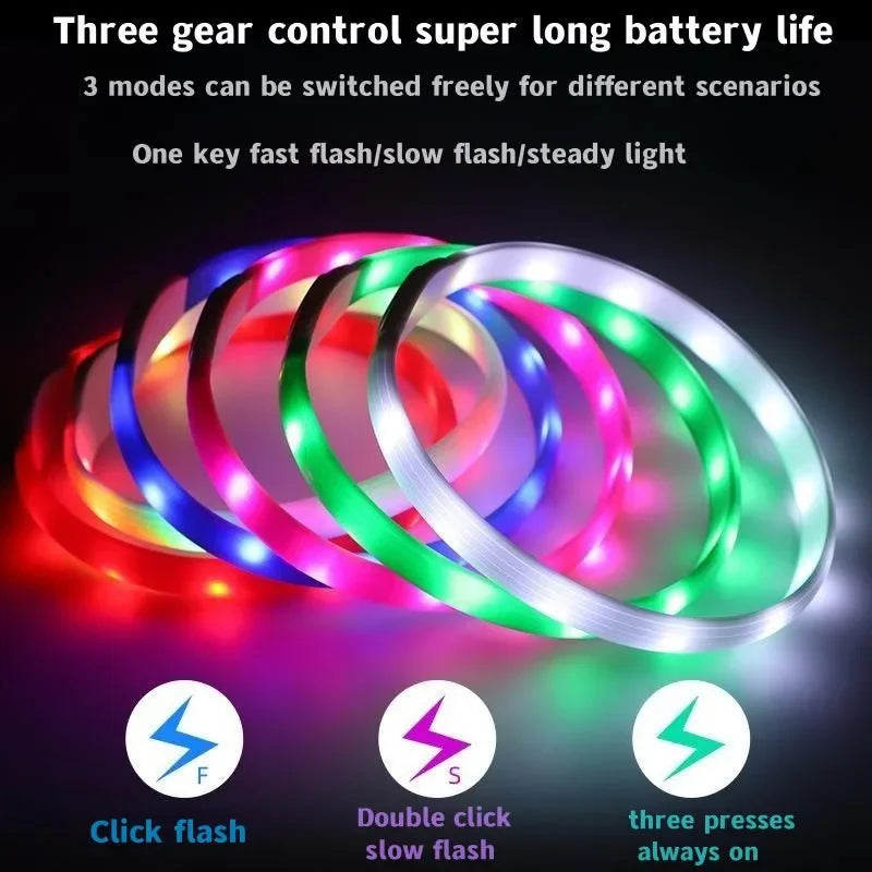 Collier LED rechargeable en PVC pour chien