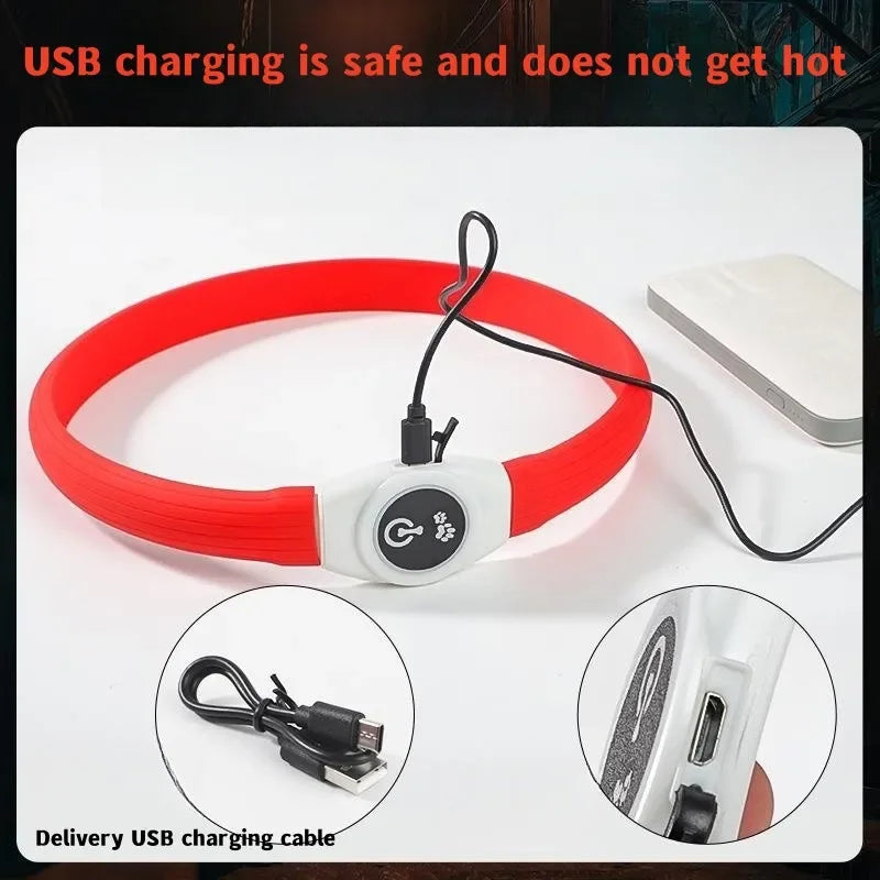 Collier LED rechargeable en PVC pour chien