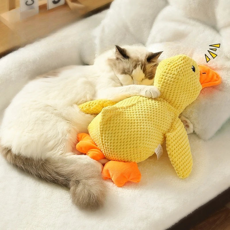 Jouet Canard pour Chien – Résistant avec Son