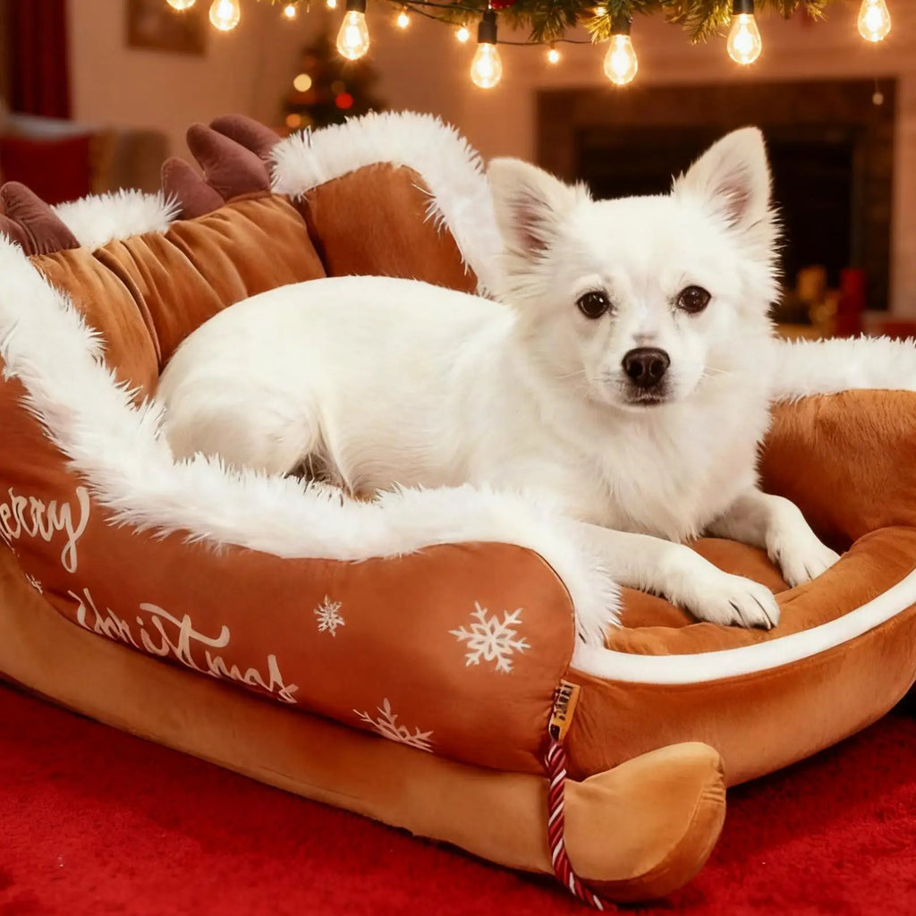 Panier traîneau de Noël pour chien