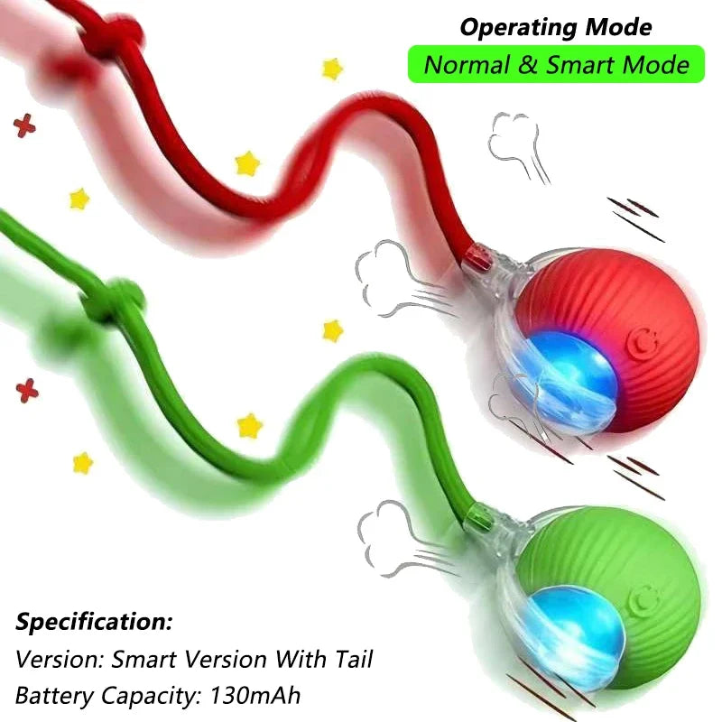 profissional e todo em frances. Balle Interactive Rechargeable pour Chat
