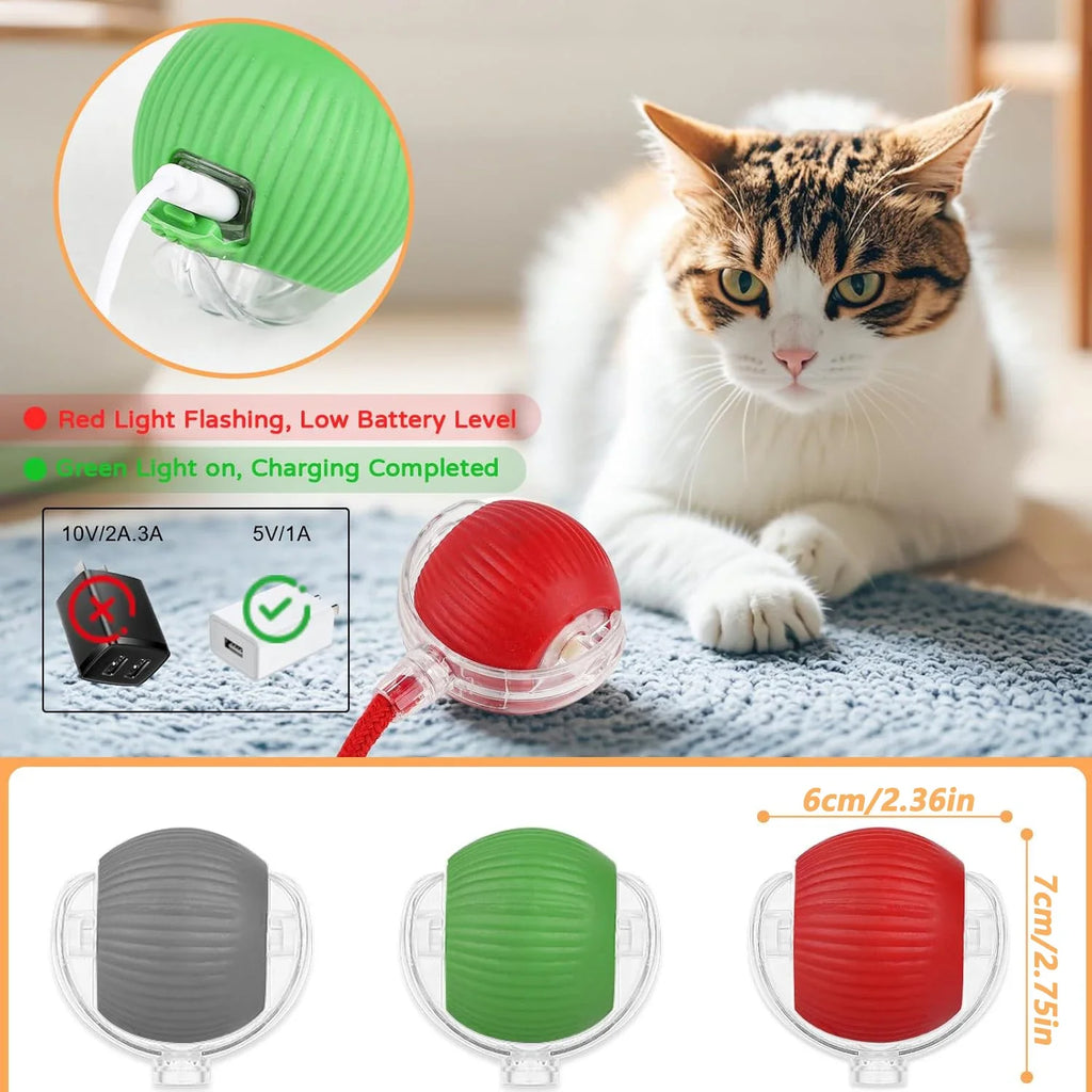 profissional e todo em frances. Balle Interactive Rechargeable pour Chat