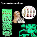 Collier Lumineux pour Chats et Petits Chiens – Lot de 3