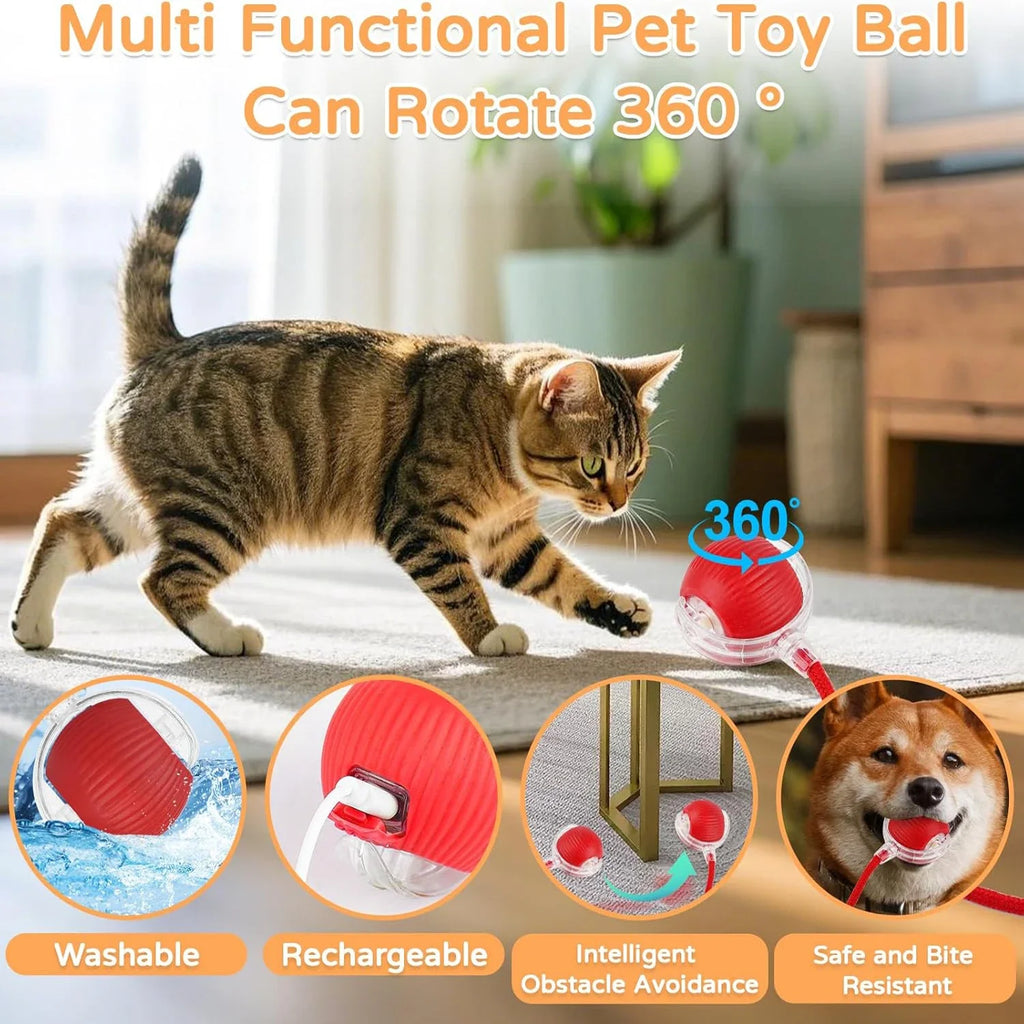 profissional e todo em frances. Balle Interactive Rechargeable pour Chat