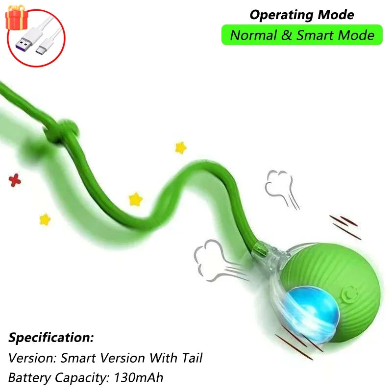 profissional e todo em frances. Balle Interactive Rechargeable pour Chat
