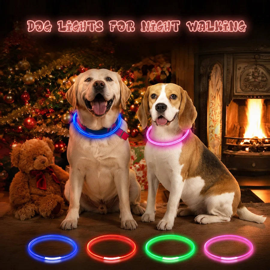 Collier lumineux LED rechargeable pour chien